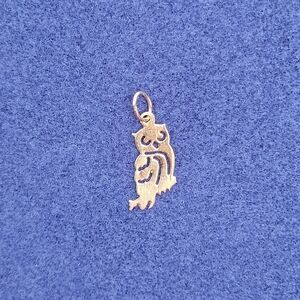 14k Gold Owl Charm Pendant